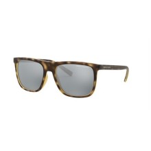 Armani Exchange AX4102S 8029/6G/56 Erkek Güneş Gözlüğü