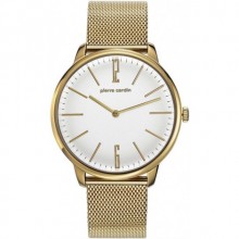 Pierre Cardin PC106991F30 Erkek Kol Saati