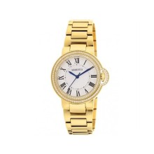 Momentus TC216G-09SG Bayan Kol Saati