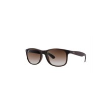 Ray-Ban RB/4202/6073/13/55 Erkek Güneş Gözlüğü