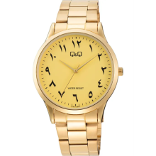 Q&Q C08A-026PY Erkek Kol Saati