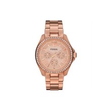 Fossil AM4483 Bayan Kol Saati