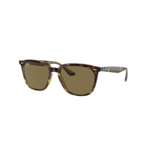 Ray-Ban RB/4362/710/73/55 Erkek Güneş Gözlüğü